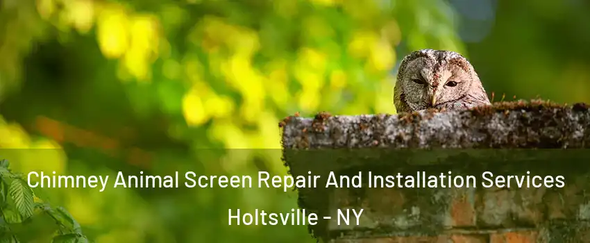  Chimney Animal Screen Repair And Installation Services Holtsville - NY