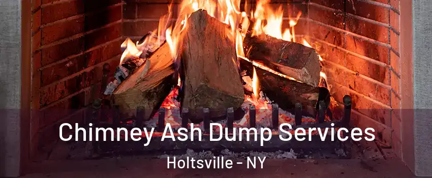  Chimney Ash Dump Services Holtsville - NY