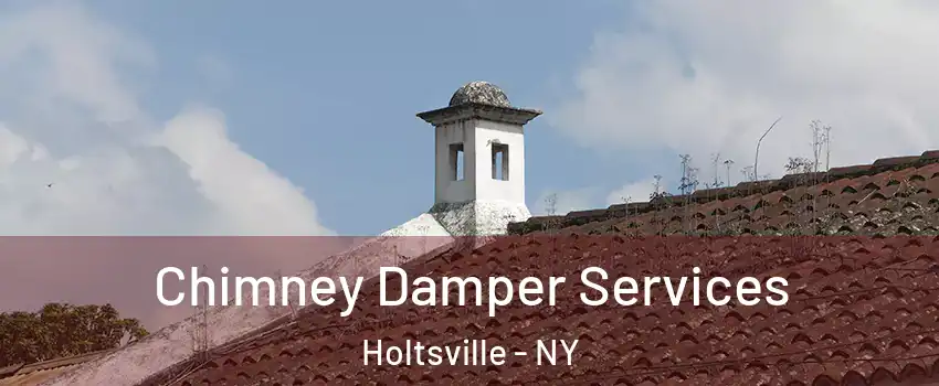  Chimney Damper Services Holtsville - NY