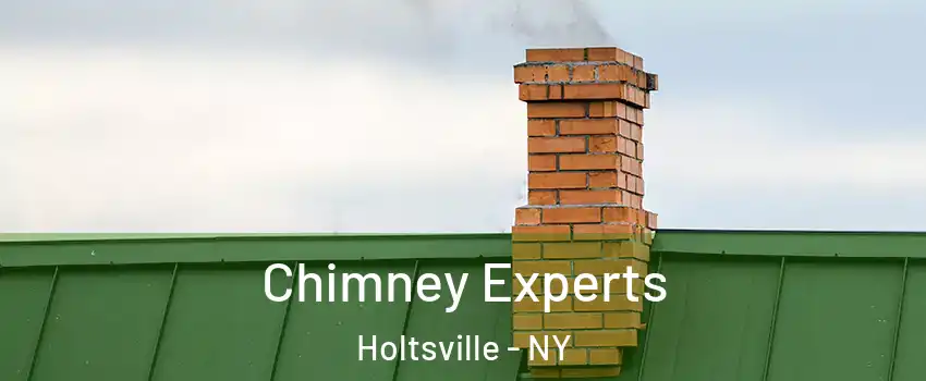  Chimney Experts Holtsville - NY