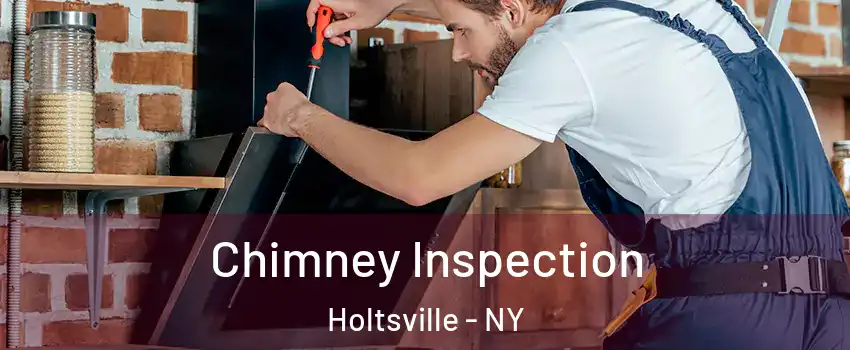  Chimney Inspection Holtsville - NY