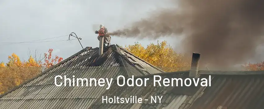  Chimney Odor Removal Holtsville - NY