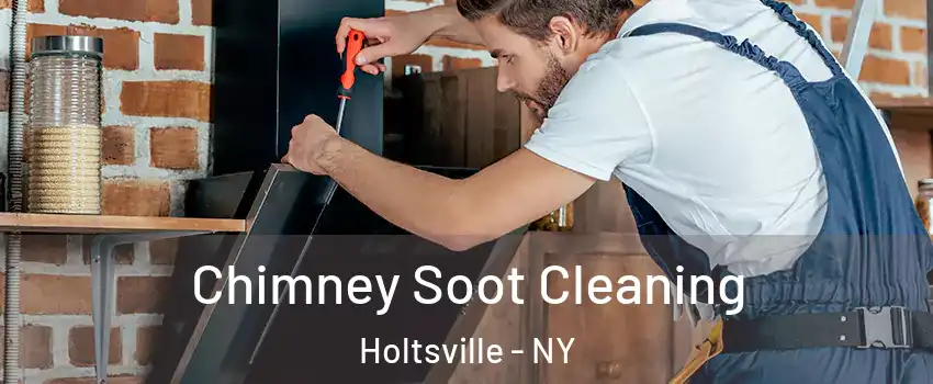  Chimney Soot Cleaning Holtsville - NY