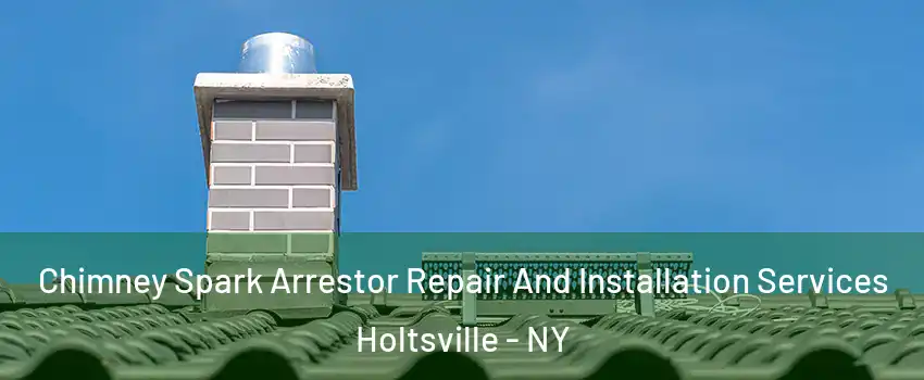  Chimney Spark Arrestor Repair And Installation Services Holtsville - NY