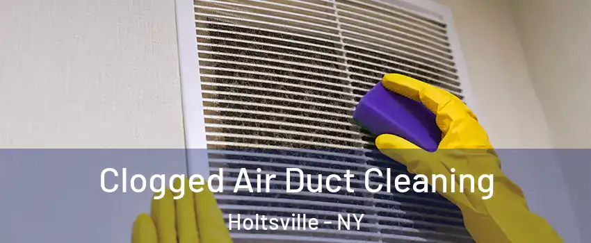  Clogged Air Duct Cleaning Holtsville - NY