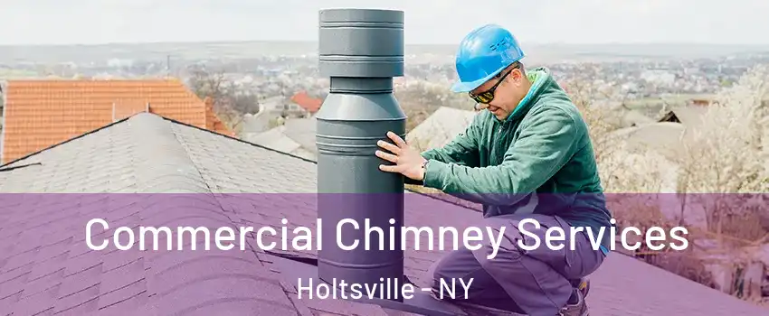  Commercial Chimney Services Holtsville - NY