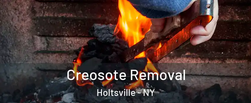  Creosote Removal Holtsville - NY