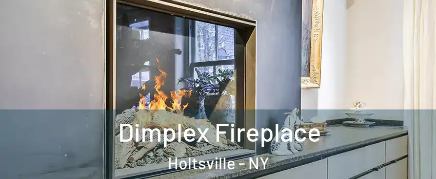  Dimplex Fireplace Holtsville - NY