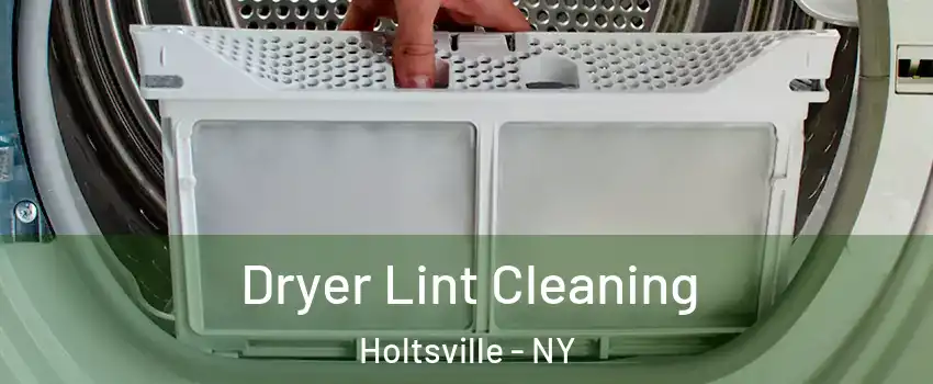  Dryer Lint Cleaning Holtsville - NY