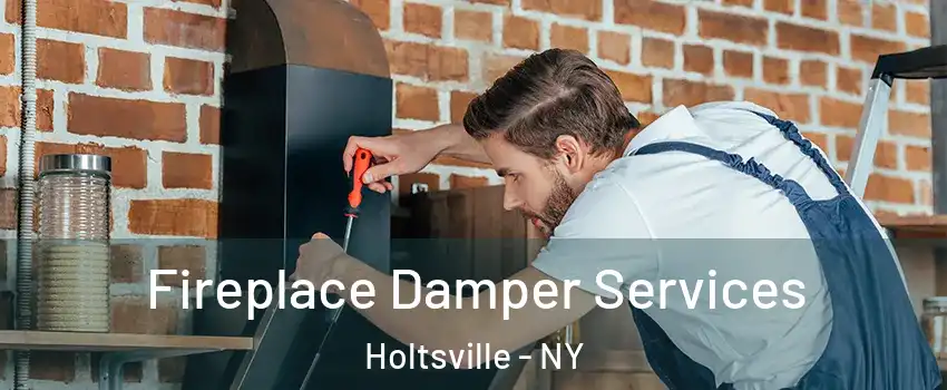  Fireplace Damper Services Holtsville - NY