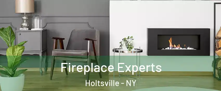  Fireplace Experts Holtsville - NY