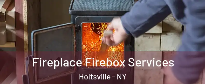  Fireplace Firebox Services Holtsville - NY