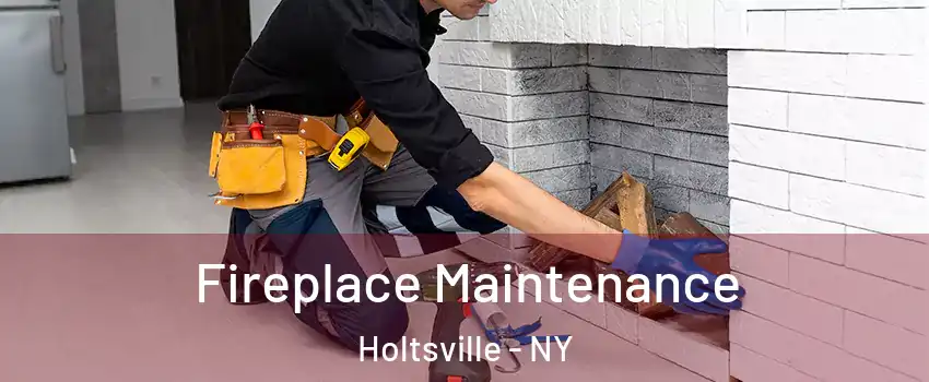  Fireplace Maintenance Holtsville - NY