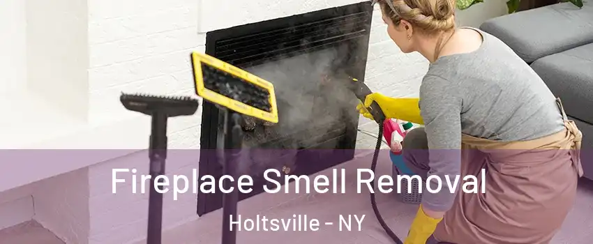  Fireplace Smell Removal Holtsville - NY