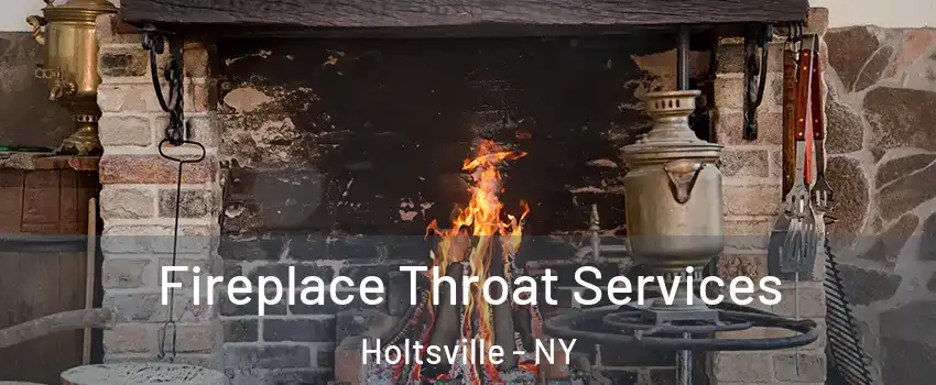  Fireplace Throat Services Holtsville - NY