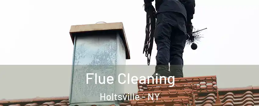  Flue Cleaning Holtsville - NY
