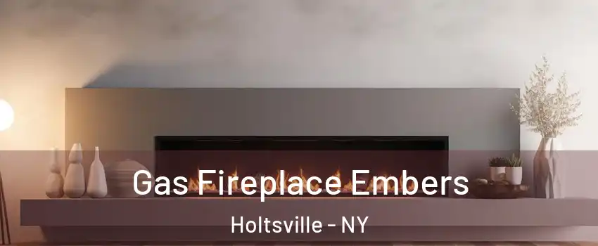  Gas Fireplace Embers Holtsville - NY