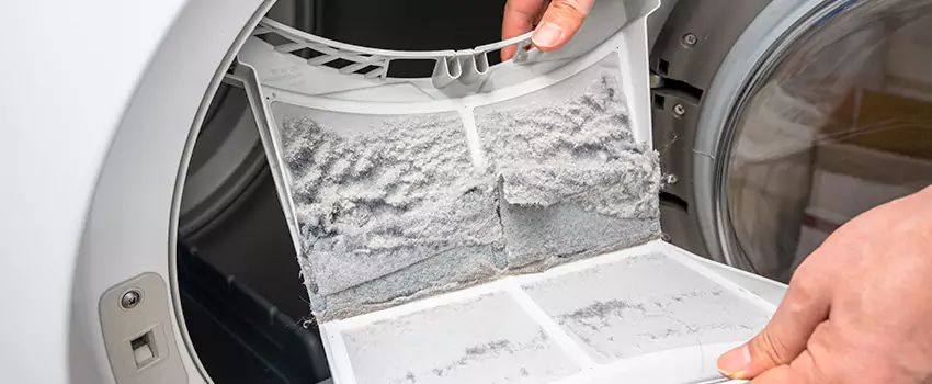 Best Dryer Lint Removal Company in Holtsville, New York
