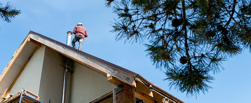 Birds Removal Contractors from Chimney in Holtsville, NY