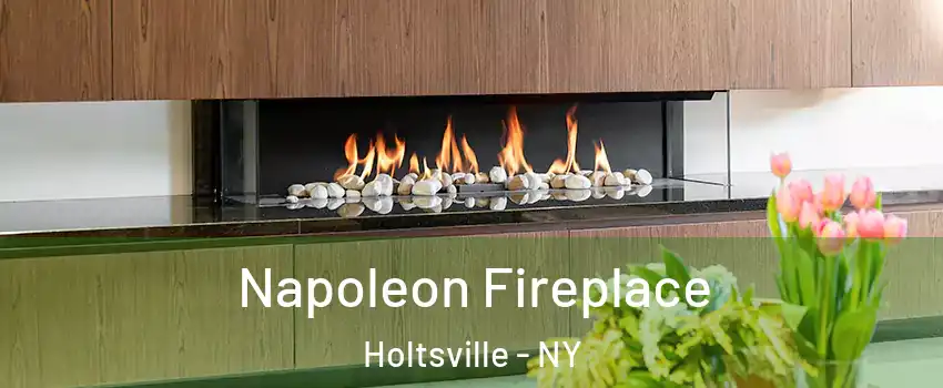  Napoleon Fireplace Holtsville - NY