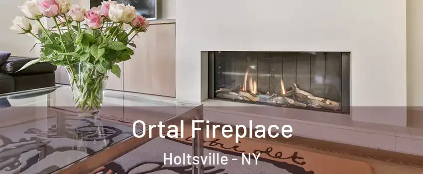  Ortal Fireplace Holtsville - NY