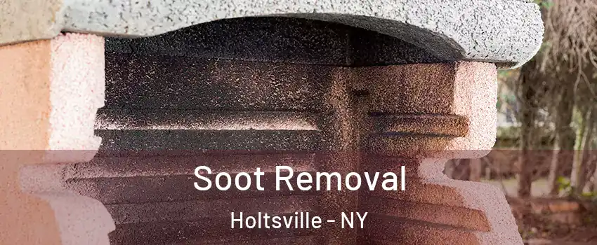  Soot Removal Holtsville - NY